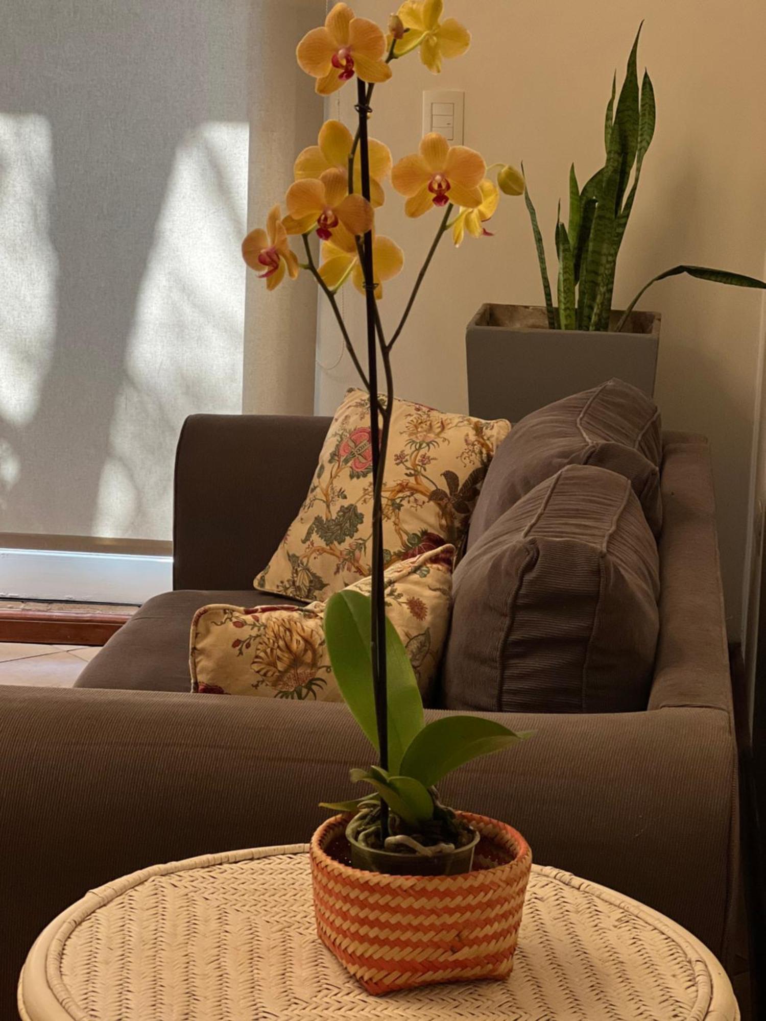 Flora Apartments Puerto Iguazú Extérieur photo